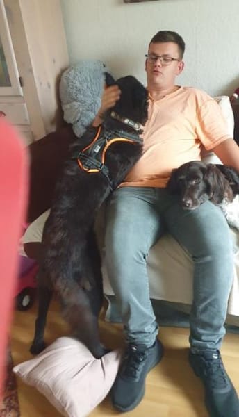 FINN - junger verschmuster Schäferhund