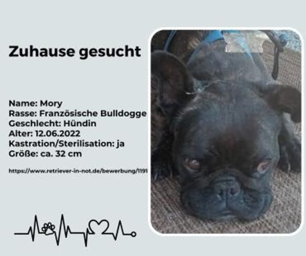 Zuhause gesucht für unsere Mory