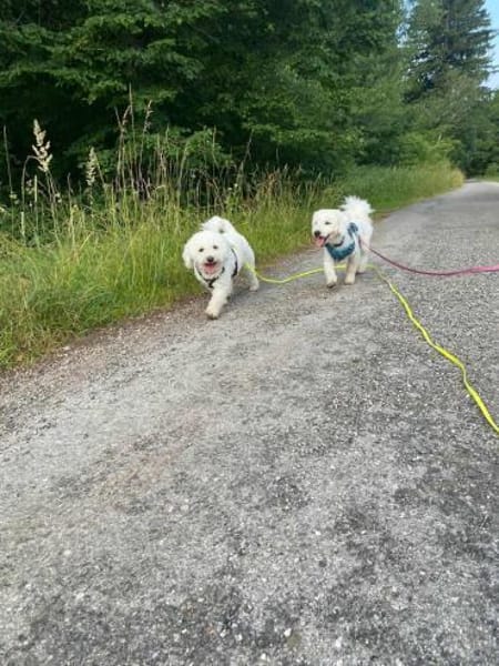 Nala - anhänglich&verschmust