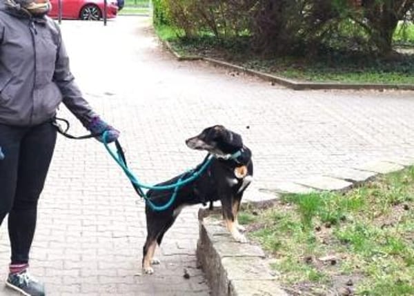 Nuts sucht ihre Menschen