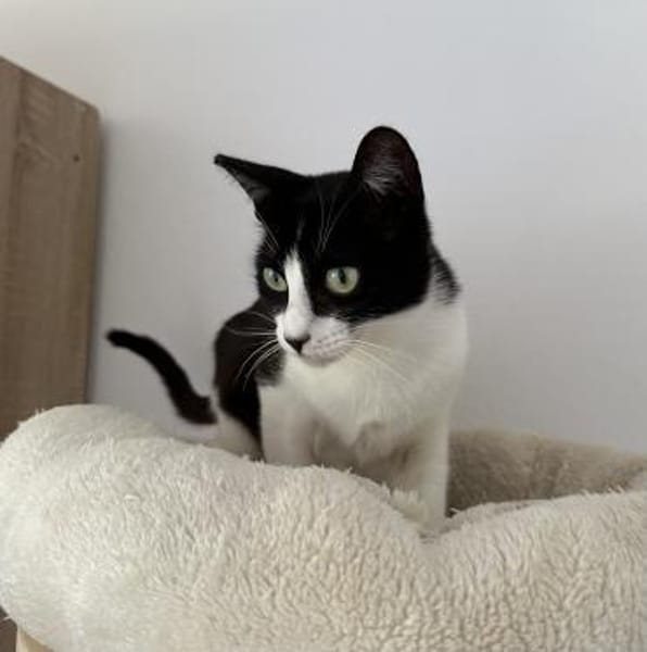 Frida die Schmusebacke