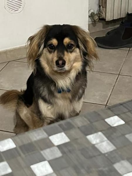 MAX 💙💙💙 bildhübscher Bub