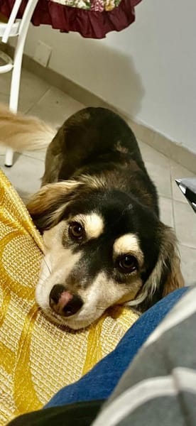 MAX 💙💙💙 bildhübscher Bub