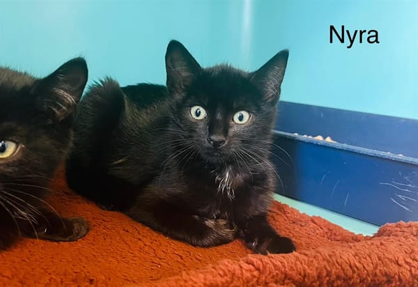 Nyra