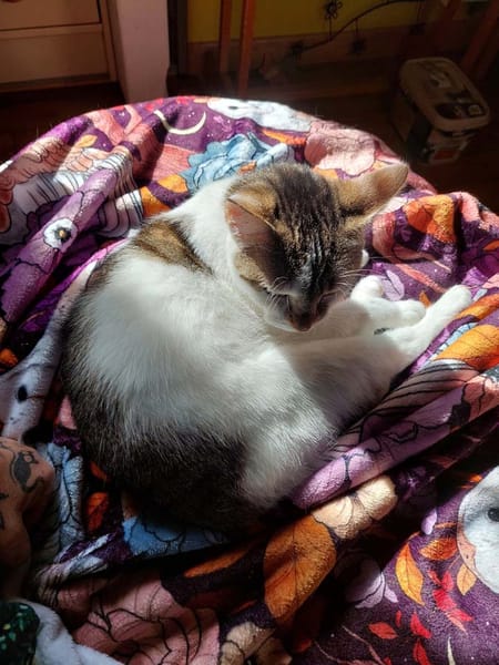 MILKA