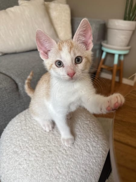 Winnie
