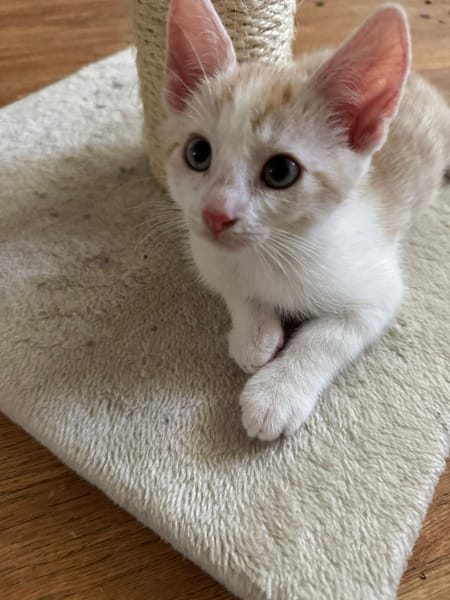 Winnie