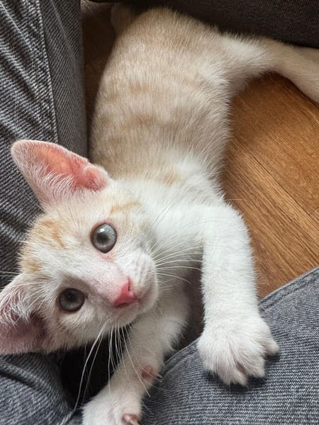 Winnie