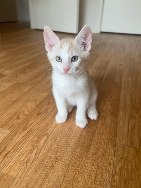 Winnie