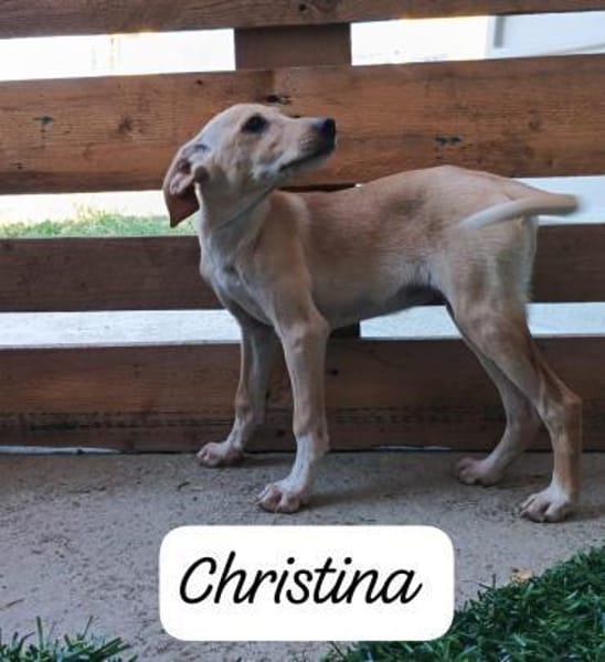 CHRISTINA  unbeschwert+liebenswert