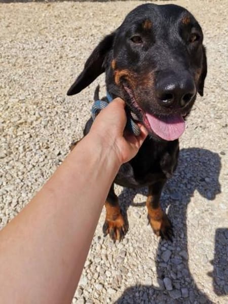 Die kleine💕Tilda💕 sucht ihre Menschen