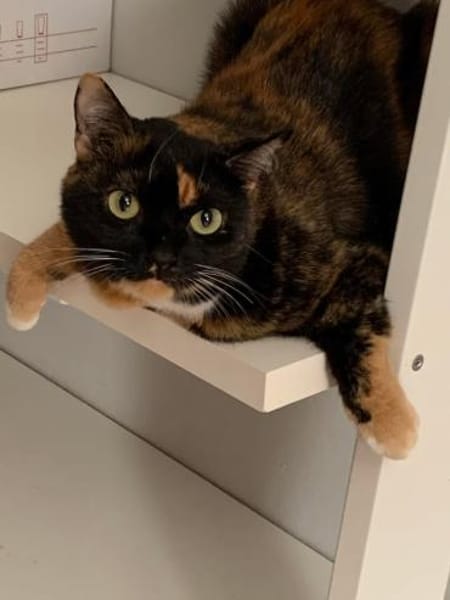 Mia und Casseema suchen nur zusammen