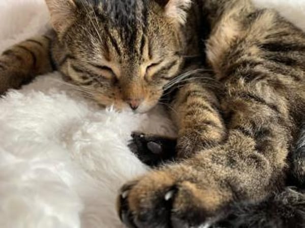 Mia und Casseema suchen nur zusammen