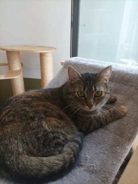 Minou - Teenie-Mama
