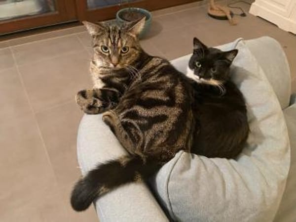 Livie und Jonny