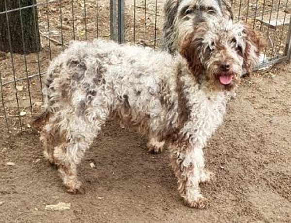 Honey in 86529 Schrobenhausen