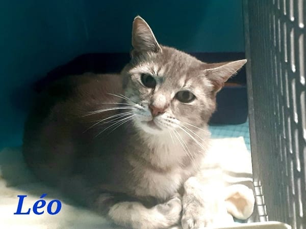 Leo