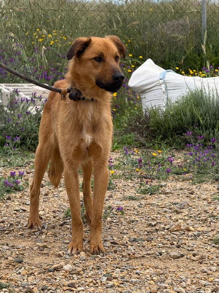 DUKE (Maria)