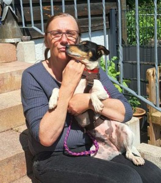 Jack Russel Fan`s aufgepasst: PIXIE :-)