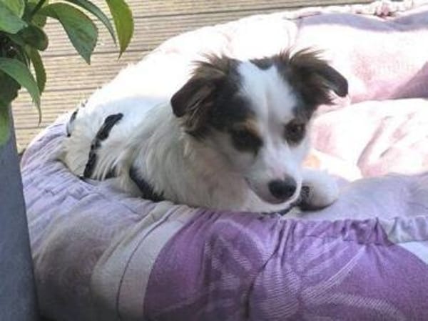SISSY ist zauberhaft