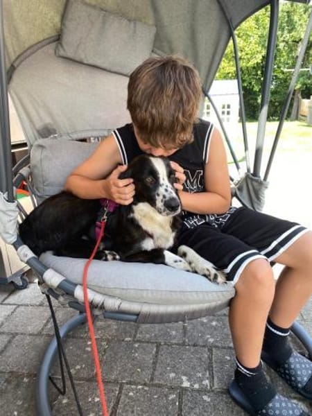 💜Valia  Schönheit auf vier Pfoten