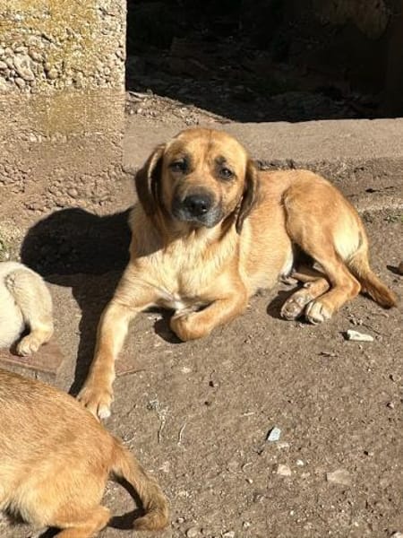 Unkomplizierte Mari sucht ihre Familie!