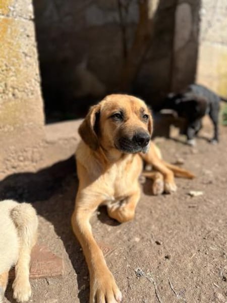 Unkomplizierte Mari sucht ihre Familie!