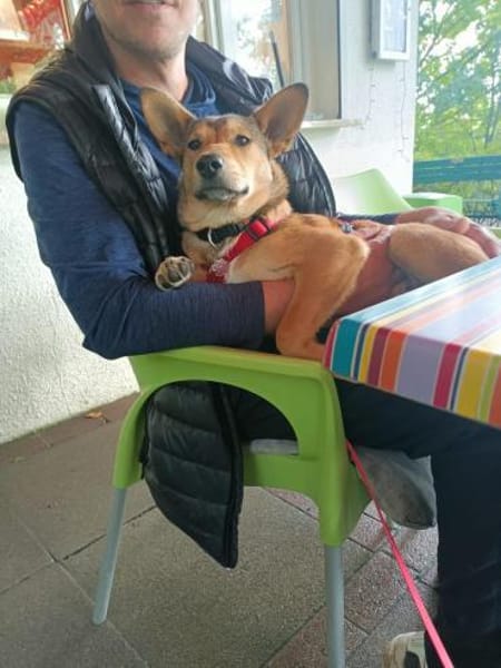 Deedee entzückenden kleines Mädel