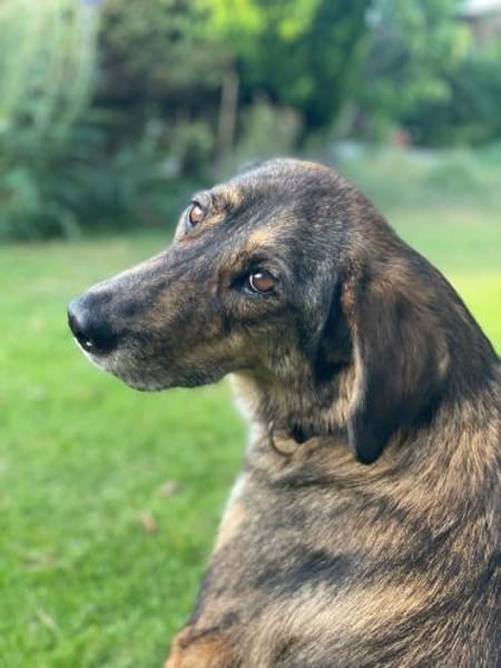 Liebevolle Sara sucht dich!