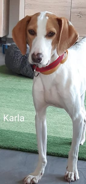 Blind Date gefällig? Karla wartet