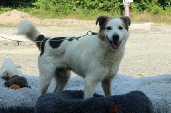 Justin unser kleiner Prinz