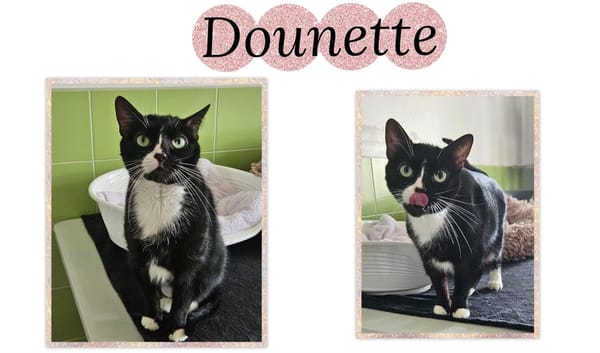 DOUNETTE (Réservée)