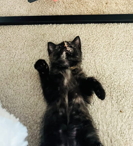 Lilo