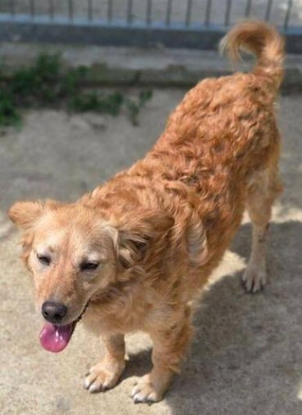 LOLA 2 sucht Familie