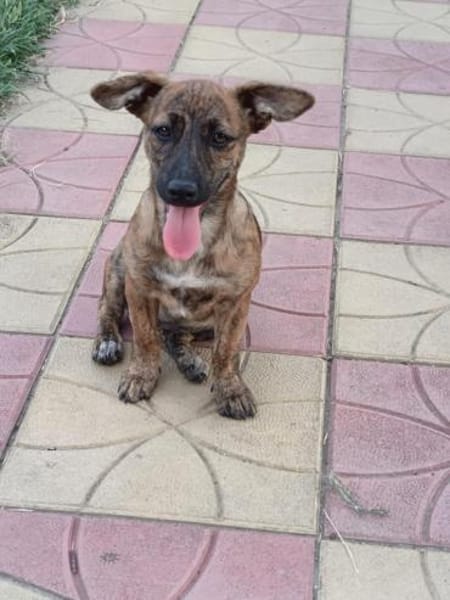 Tolle kleine Leni