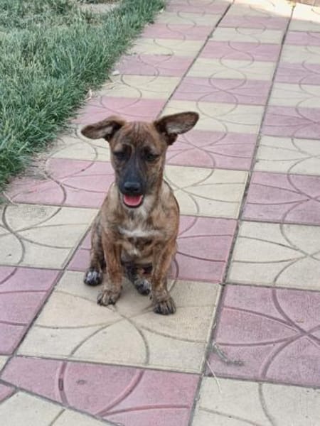 Tolle kleine Leni