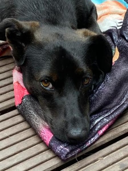 Nelly; zartes Seelchen