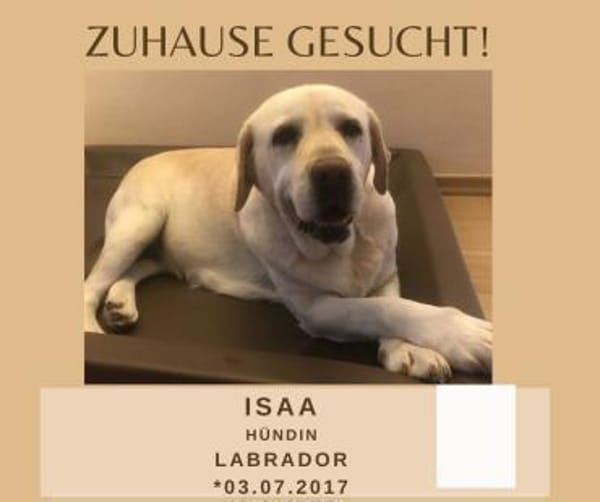 Isaa sucht ihr Zuhause fürs Leben