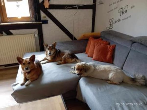 Lucia, Seniorin sucht Altersresidenz