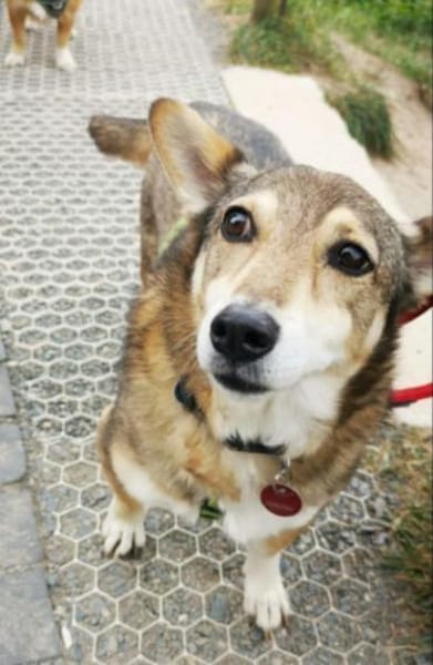 Lucia, Seniorin sucht Altersresidenz