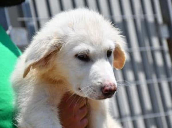 Familie für Naomi gesucht