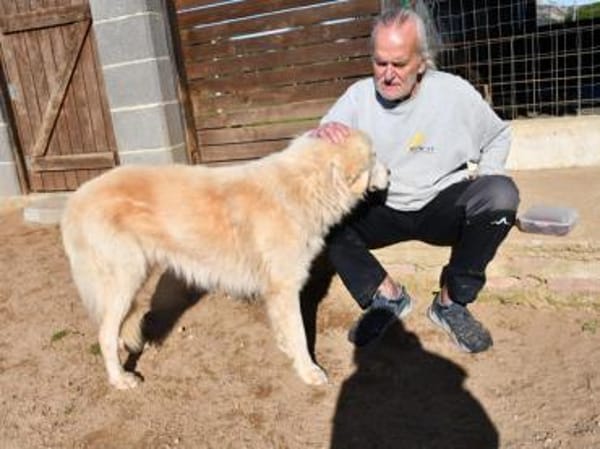Geben Sie Senior Rocky eine Chance?