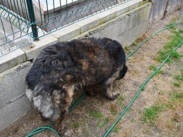 Zauberhafte Mona sucht Ihr Zuhause