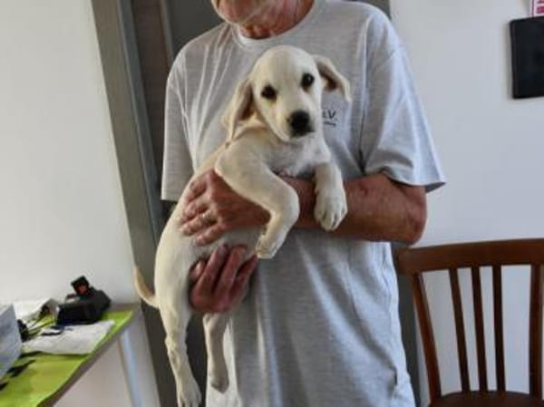Pablo sucht seine Menschen