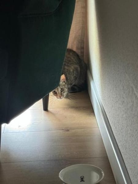 Miley - kleines Mädchen, großes Herz