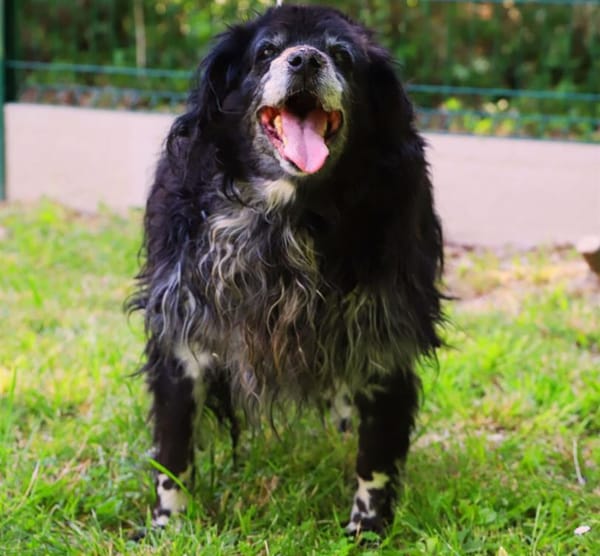 ERKA