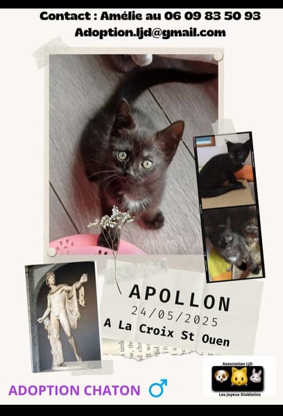 Apollon
