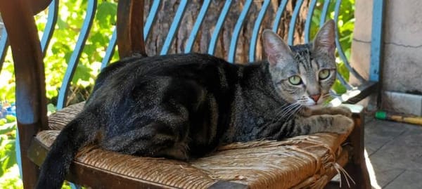 Coco
