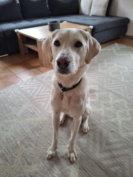 HERKULES, alias LOKI