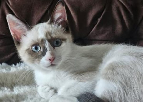 NALA - ein absolutes Goldstück!